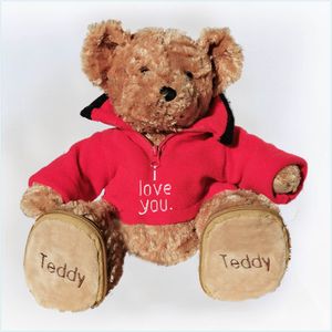 Liefdes Teddy met rode trui 