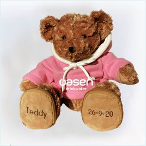 Teddy met logo op hoodie