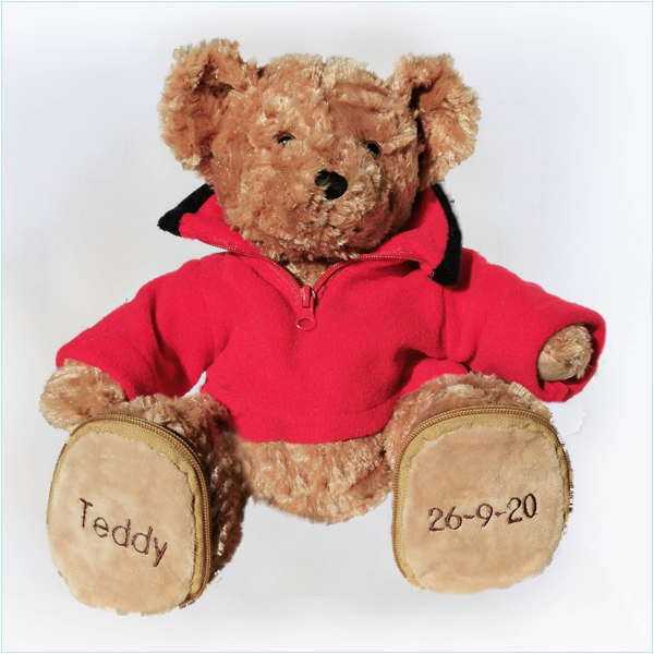 Teddy met rode trui